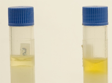 Synthetic vs mineral emulsions